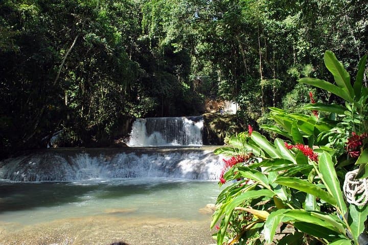 South Coast Choice: YS Falls, Appleton Rum, Black River & Pelican Bar Private Tour photo 3