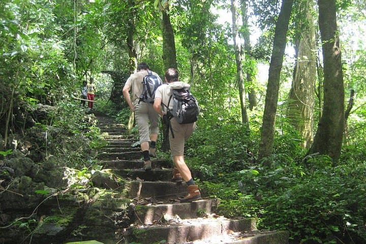 Cuc Phuong National Park Day Trip from Hanoi — Primate Rescue, 1000-Year Tree & Prehistoric Cave photo 1