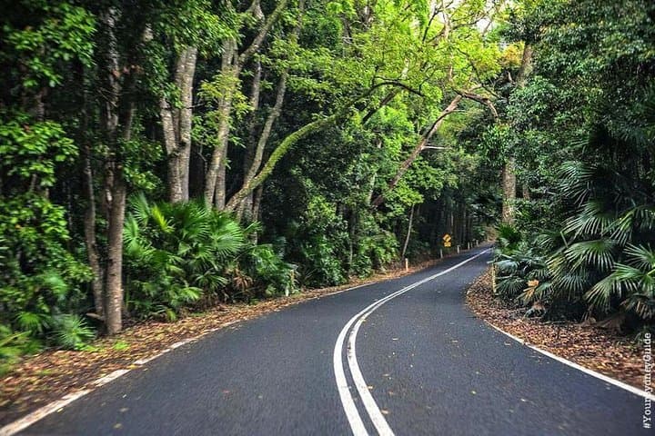 Waves, Waterfalls & Wineries: Southern Highlands Full-Day Private Tour from Sydney photo 4