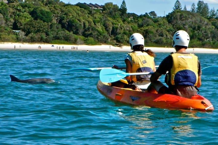 Byron Bay Dolphin Sea Kayak Tour: Paddle With Dolphins & Whales photo 6