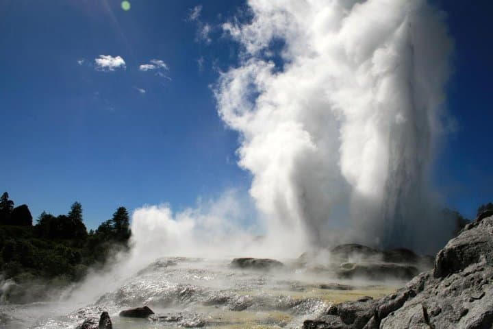 Rotorua Discovery: Te Puia Geothermal Valley, Māori Culture & Kiwi Encounter photo 2