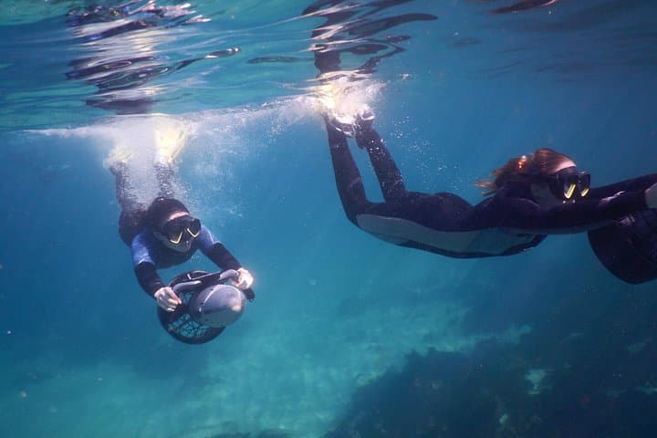Sydney Underwater Scooter Tours at Gordon's Bay — Guided 90-Min Marine Adventure photo 2