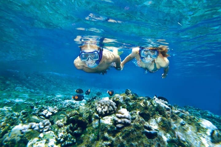 Molokini and Turtle Arches Snorkeling Trip from Ma'alaea Harbor — Maui's Best Day-Boat Adventure