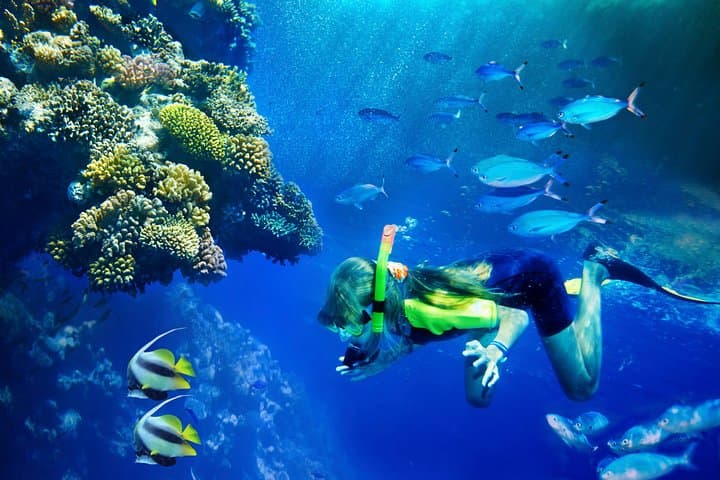 Lanai Snorkel and Dolphin Watch: Explore Maui’s Premier Marine Playground