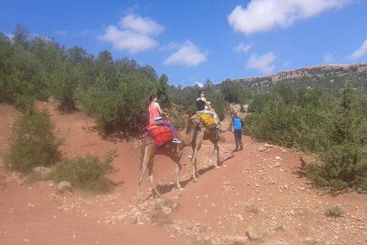High Atlas Day Trip from Marrakech: Camel Ride, Hike & Berber Village Lunch