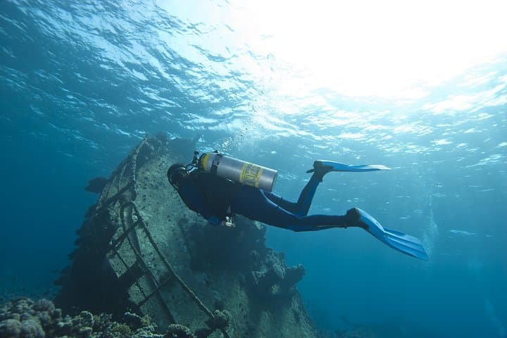 Aruba 2-Tank Certified Dive: Reefs, Wrecks & Morning Boat Excursion photo 2
