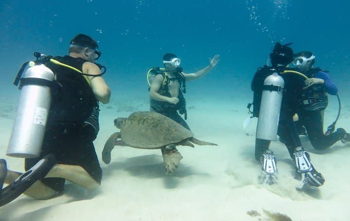 Open Water Scuba Certification in Oahu: SSI Course from Waikiki photo 2