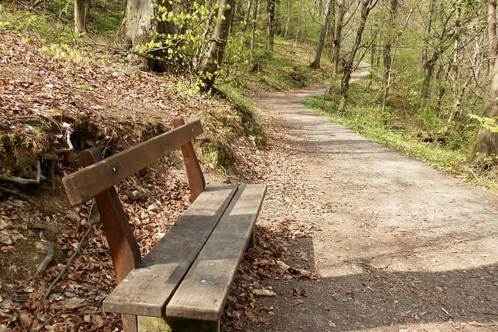 Medvednica Mountaineer Walk: Classic Zagreb Day Hike to Sljeme photo 1