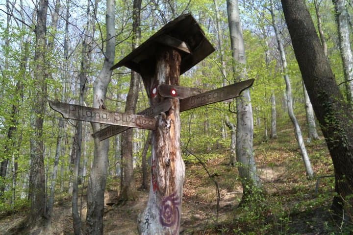 Medvednica Hiking and Chestnut Picking Tour from Zagreb: Half-Day Hike to Sljeme photo 2