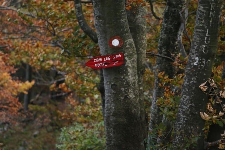 Full-Day Risnjak Hike from Zagreb: Schlosser Hut & Kupa Source photo 3