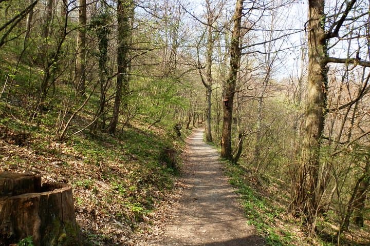 Medvednica Hiking and Chestnut Picking Tour from Zagreb: Half-Day Hike to Sljeme
