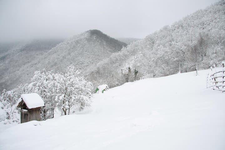 Winter Hike to Žumberak & Samobor: Private Day Trip from Zagreb