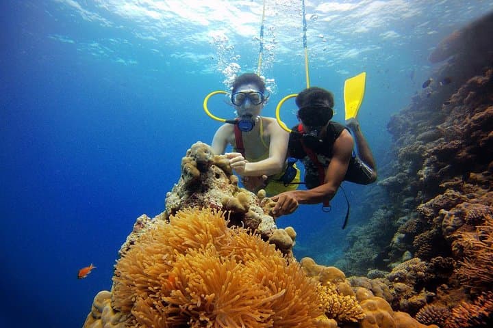 Bangaram Island Holiday: Lakshadweep Beach Escape with Diving & Kayaking photo 1
