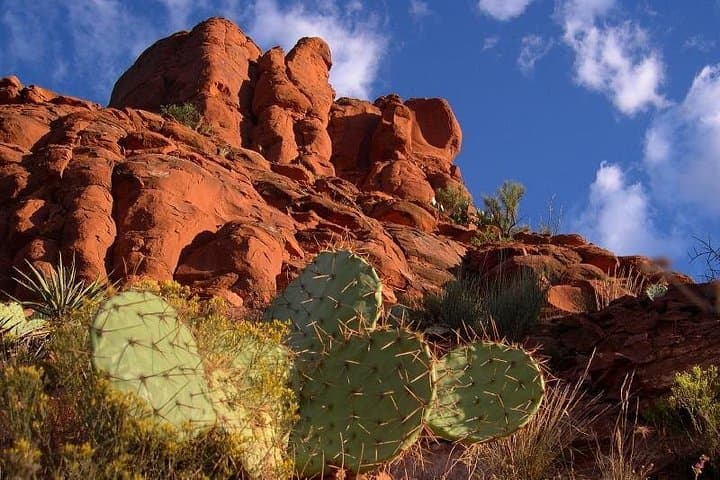 Sedona Red Rocks Jeep Outback Tour: Scenic Sunset Off-Road Adventure photo 2