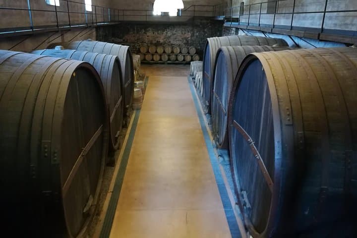 Etna Excursion and Lunch: Volcano Hike and Etna DOC Wine Tasting photo 4