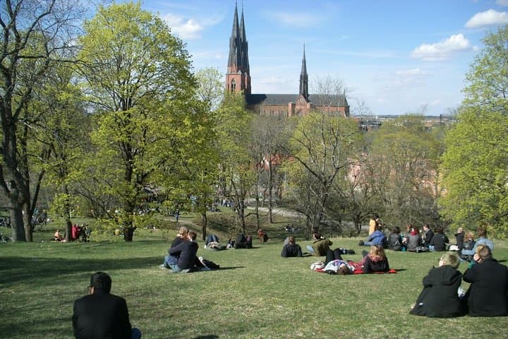 Uppsala Walking Tour: Cathedral, Castle and Swedish Lifestyle in 3 Hours