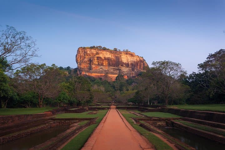 Sigiriya Birdwatching Walk: Countryside Birding Near Habarana photo 4