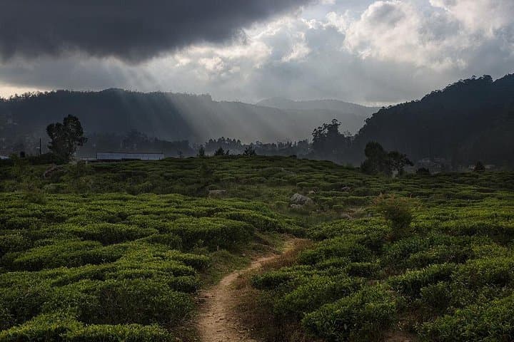 Tea Trails by Bicycle: Nuwara Eliya to Kandy Cycling Through Sri Lanka’s Highlands photo 2