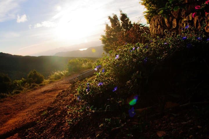 Knuckles Peak: 1-Night Camping and Summit Trek from Kandy