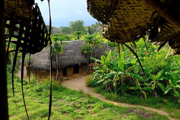 Illukpelessa Village Jungle Trek from Ella — River Crossings, Temple Ruins & Village Lunch photo 2