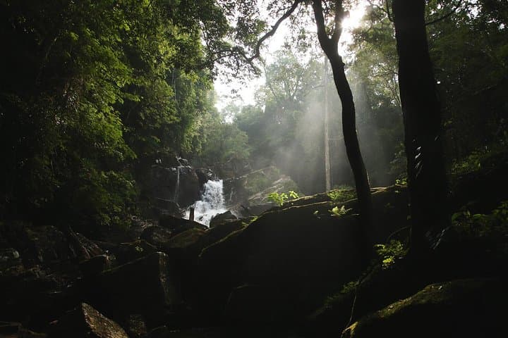 Rainforest Explorer: 2-Day Sinharaja Rain Forest Safari from Bentota
