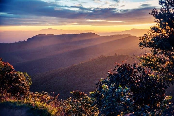Misty Mountain Trails: 2-Day Hikkaduwa to Nuwara Eliya & Horton Plains photo 2