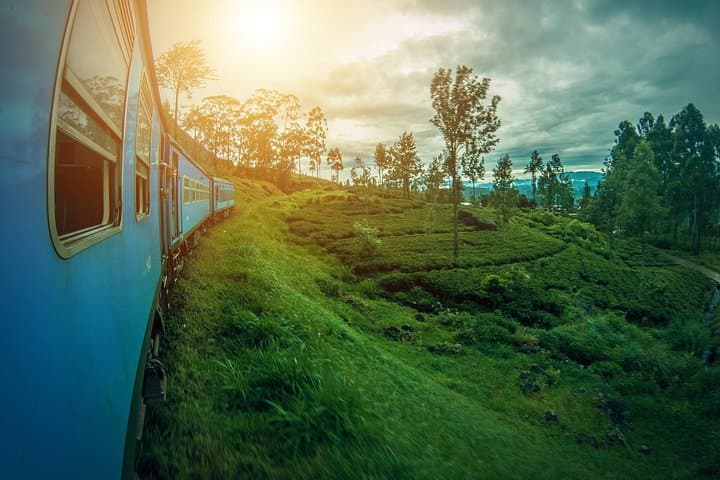 Adisham Bungalow Rail Walk from Ella: Tea-Plantation Hike & Tudor Manor Tour photo 2