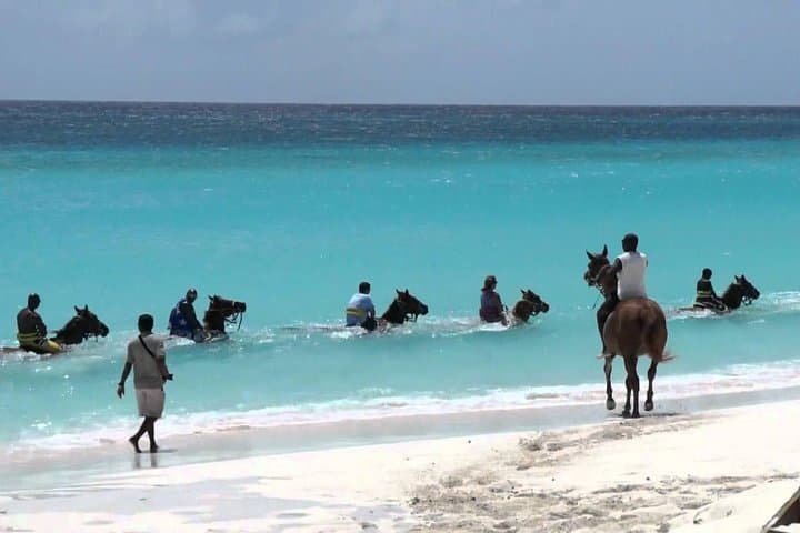 Blue Hole & Horseback Adventure from Ocho Rios: Secret Falls, Swim, Ride, and Local Flavors photo 3