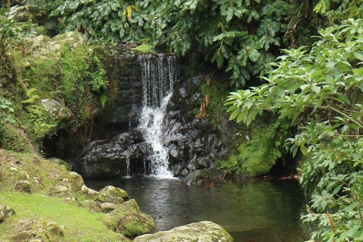 Off-Road Northeast Azores Jeep Tour: Waterfalls, Tea & Coastal Cliffs photo 5