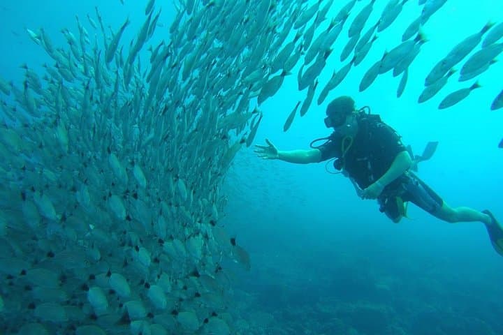 Scuba Diving Playa Hermosa & Gulf of Papagayo — Two-Tank Certified Dives