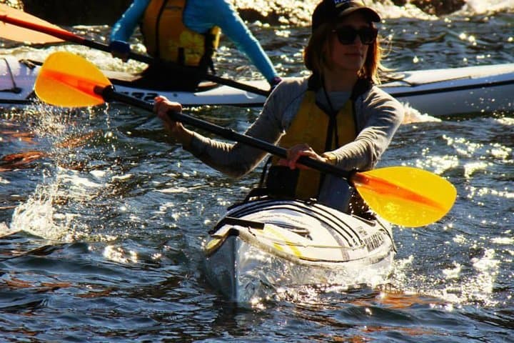 Middle Harbour Self-Guided Kayak Tour — 3-Hour Single Kayak in Sydney photo 3