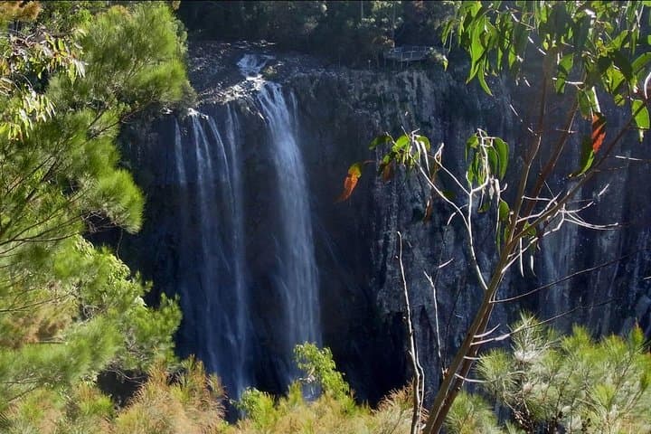 Byron Bay Hinterland Day Tour: Rainforest Walk & Minyon Falls Swim
