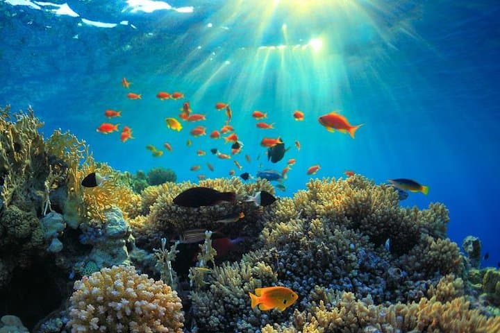 Hurghada 8-Day Red Sea Relaxation: Snorkel, Dive & Wind‑Surf