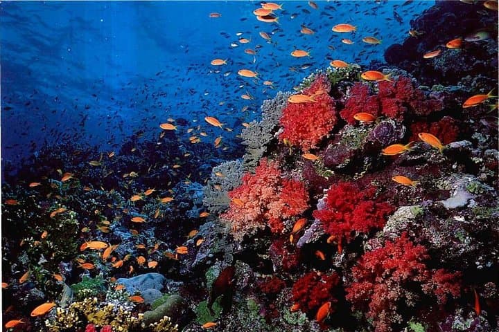 Hurghada 8-Day Red Sea Relaxation: Snorkel, Dive & Wind‑Surf photo 2