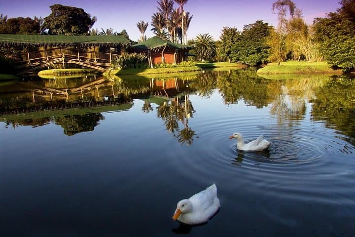 Explore Bogotá's José Celestino Mutis Botanical Garden — 4-Hour Private Tour