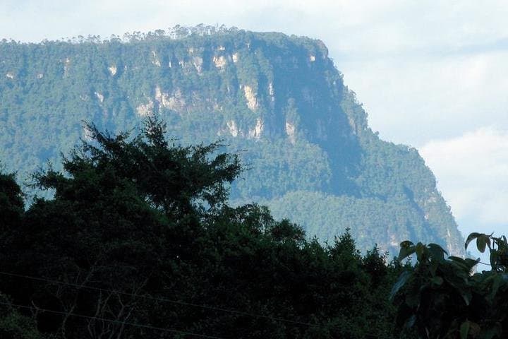 Cloud-Forest Hike at Chicaque Natural Park — Private Tour from Bogotá