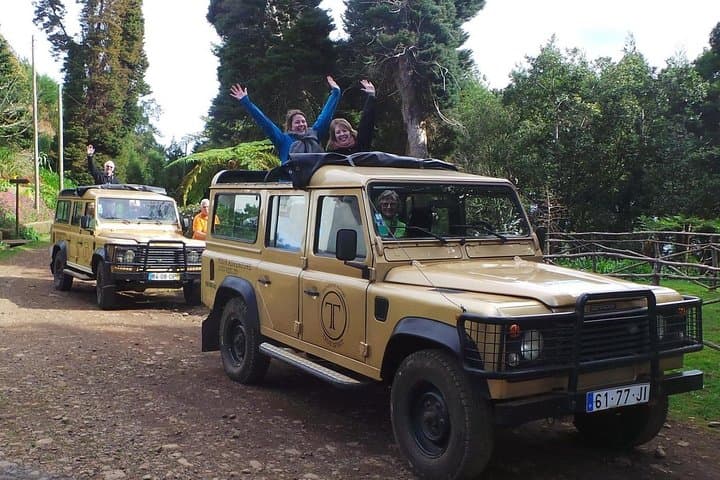 Private Half-Day 4x4 Jeep Tour in Madeira — East or West Highlights photo 5