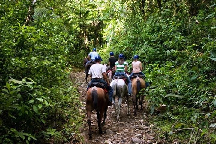 Horseback Riding to Conchal Beach from Tamarindo & Flamingo — Coastal Trail Ride in Guanacaste photo 4
