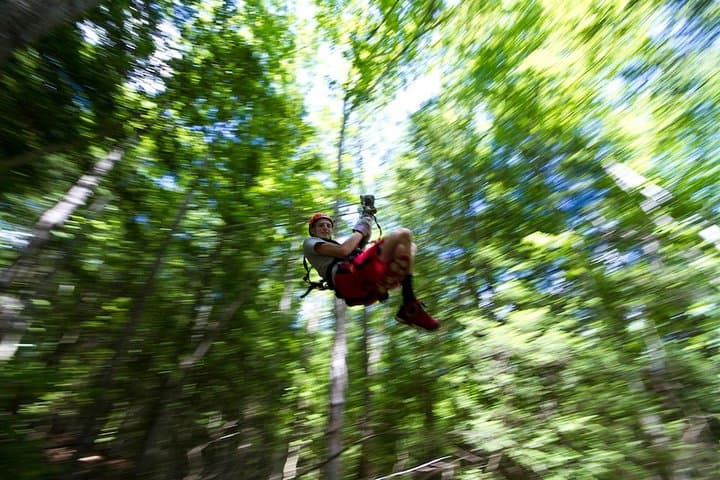 Tree Tops Zip Line Canopy Tour — New River Gorge Hemlock Forest Zip & Rappel photo 3