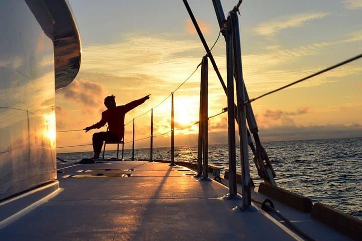 Midnight Sun Luxury Catamaran Cruise From Tromsø