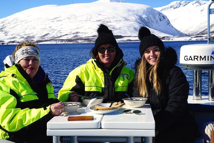 Luxury Fjord Cruise Aboard the Arctic Queen — Tromsø Fjords in Comfort