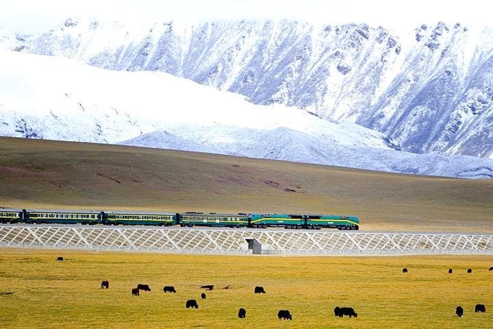 Lhasa to Everest: 6-Night Small-Group Train Tour from Xining to Everest Base Camp