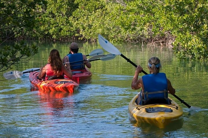 Explore Mangrove Tunnels: Key West 2-Hour Kayak Rental from Hurricane Hole Marina