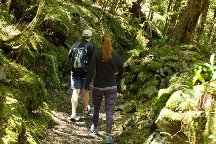 Explore New Zealand’s Routeburn Valley: A Full-Day Guided Hike from Queenstown photo 2