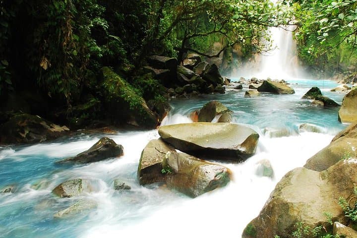Rio Celeste Full-Day Hike to the Blue Waterfall and Tenorio Volcano photo 3