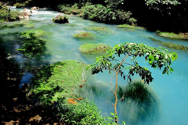 Rio Celeste Full-Day Hike to the Blue Waterfall and Tenorio Volcano photo 5