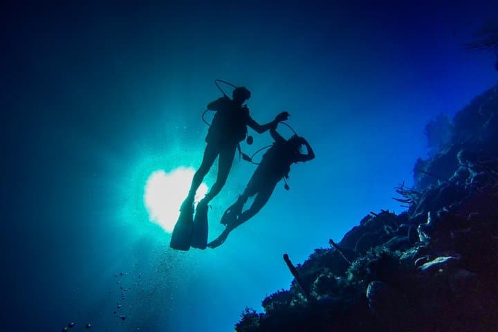 Full-Day Scuba Diving Catalina Island from Bávaro — Wall & Aquarium Dives