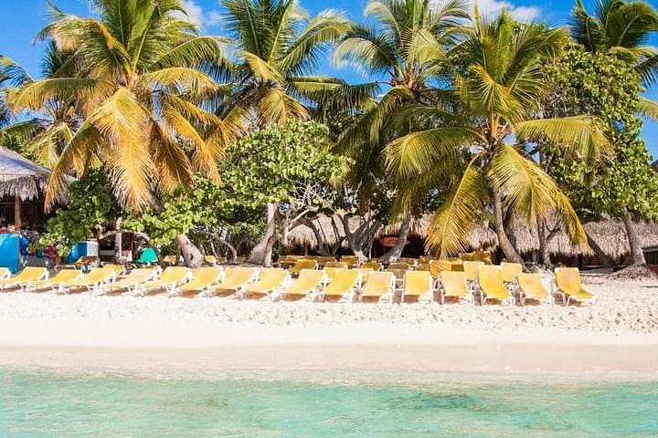 Catalina Island Full-Day Scuba Diving from Punta Cana — Wall Dives, 'Aquarium' & Beach BBQ photo 4