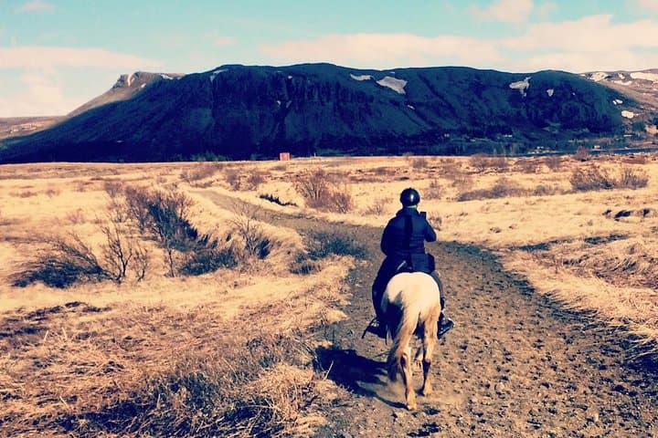 Private Icelandic Horse Ride to Lake Hafravatn from Reykjavík photo 2