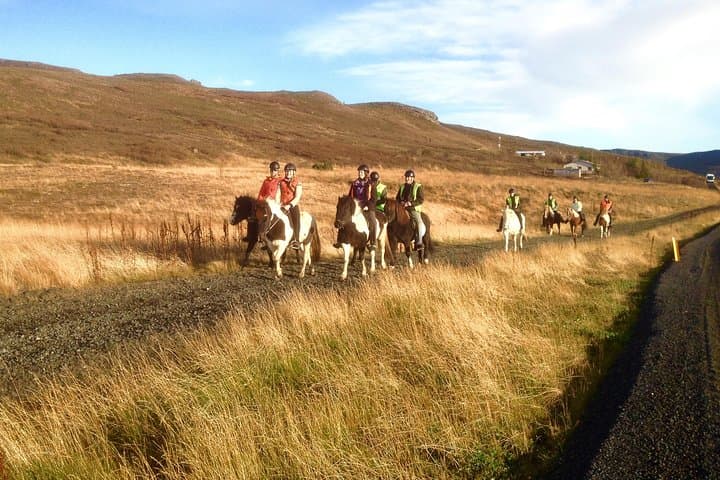 Private Icelandic Horse Ride to Lake Hafravatn from Reykjavík photo 3